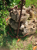 ANCLA 2